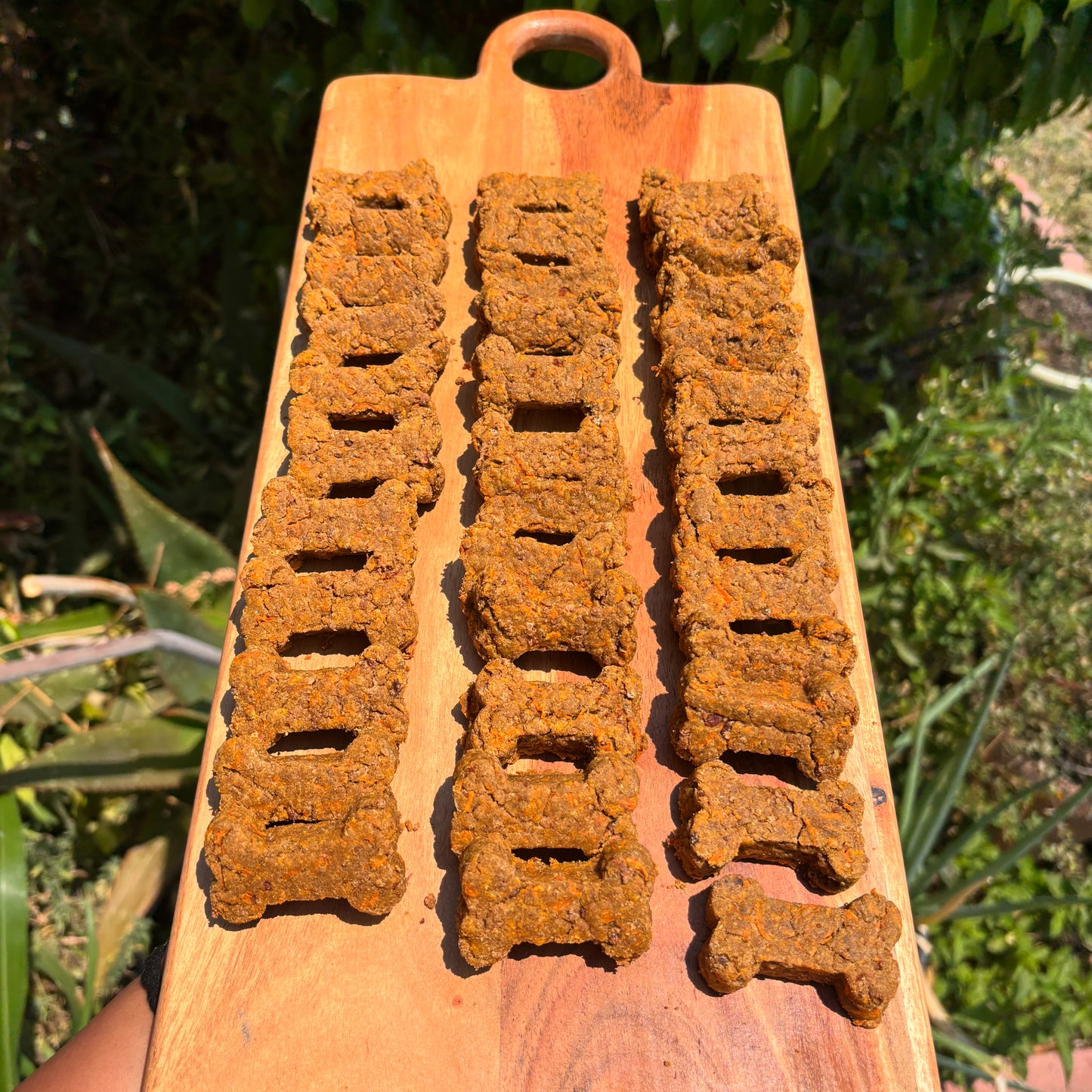 Bison & Carrot Crumbles