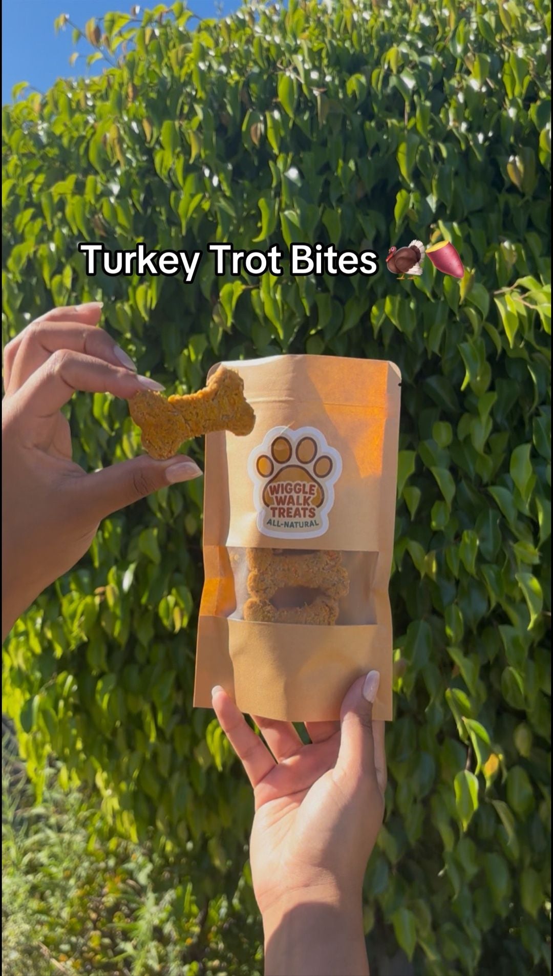 Turkey Trot Bites